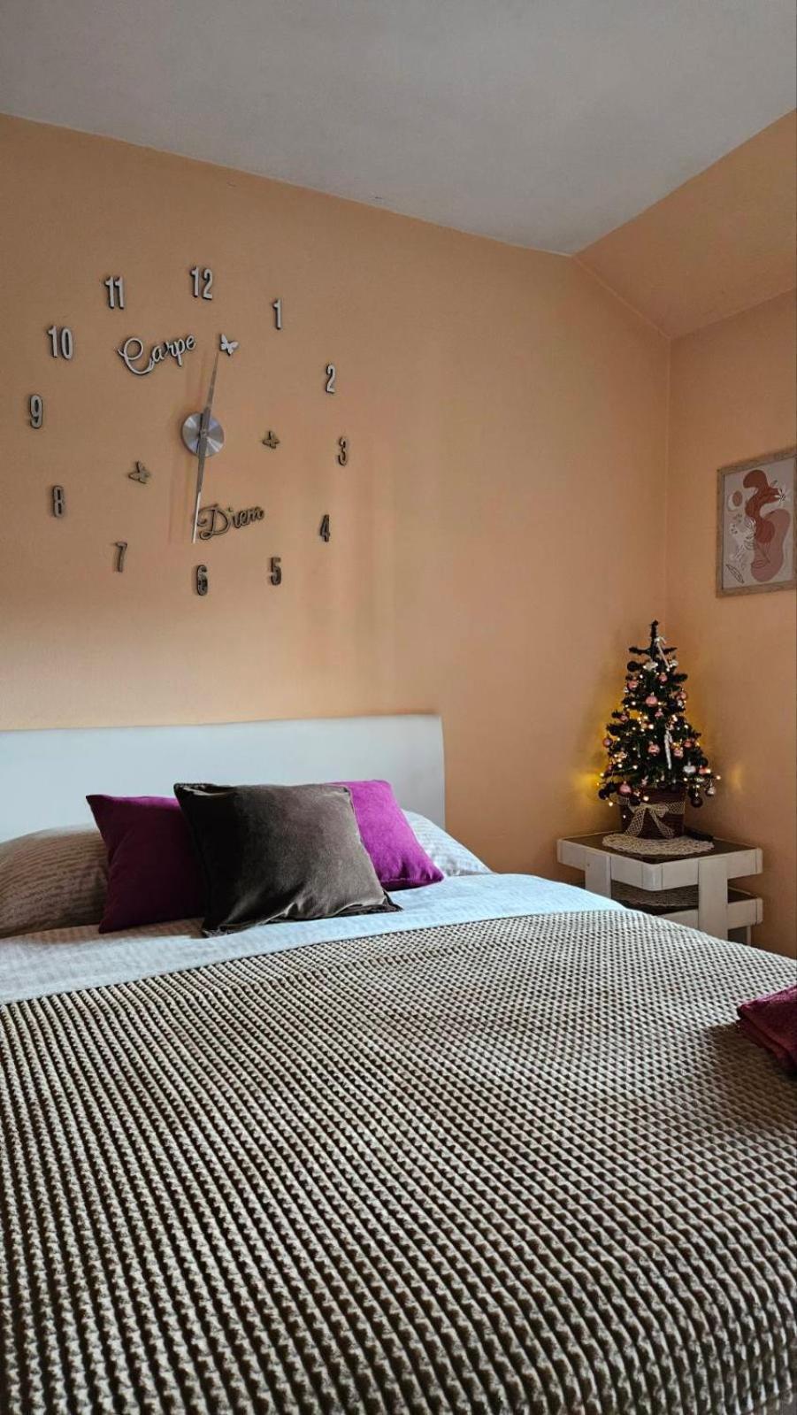 Apartment Andjela Zlatibor Exterior foto